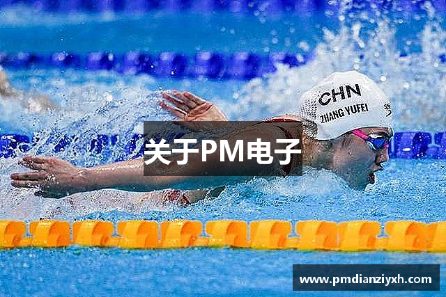 关于PM电子